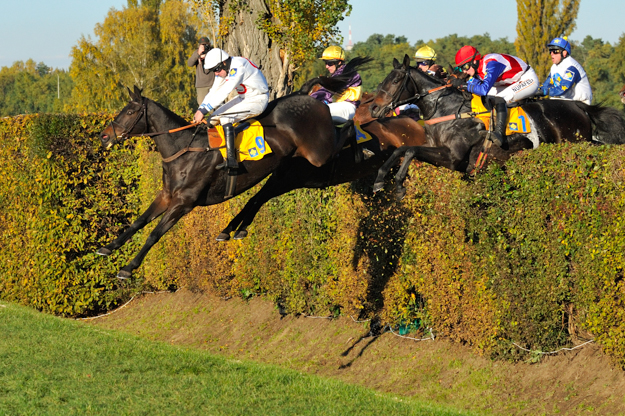 Velká Pardubická in the Czech Republic. Photo: David Tanecek (CTK via AP Images)