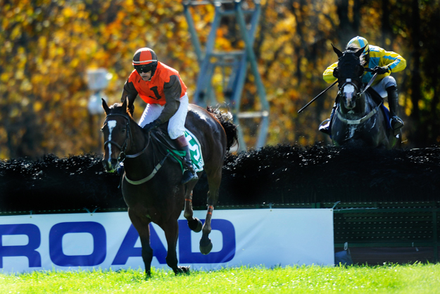 The Harry E. Harris steeplechase at Moorland Farms in Far Hills, N.J. Photo: Duncan Williams/AP Images