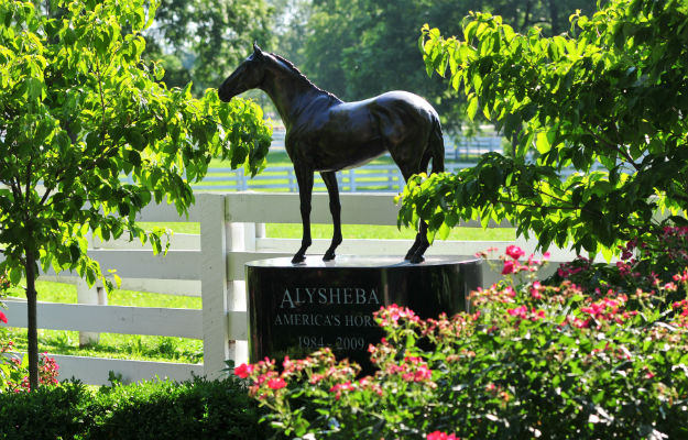 Alysheba, the companion statue to nearby John Henry.  Photo via James Shambhu for the Kentucky Horse Park