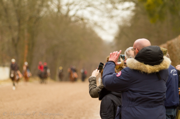 Arqana Racing Club owners watch their horses on the gallops. Photo: Maybelline T. Photographies/Arqana Racing Club