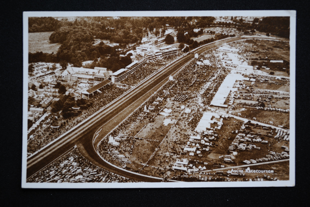 Aerial view of the Edwardian structures at Ascot. Photo: Cox Library.