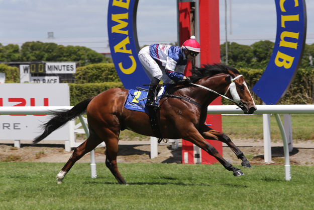 Jockey Danielle Johnson got her 50th win of the season aboard 2-year-old Billy Mojo in the first race at Te Rapa Racecourse on Nov. 22. Photo: Trish Dunell.