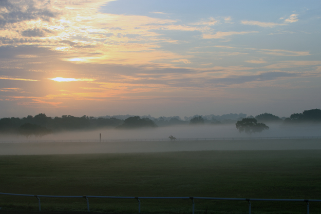 Bridlewood Farm. Photo via Bridlewood