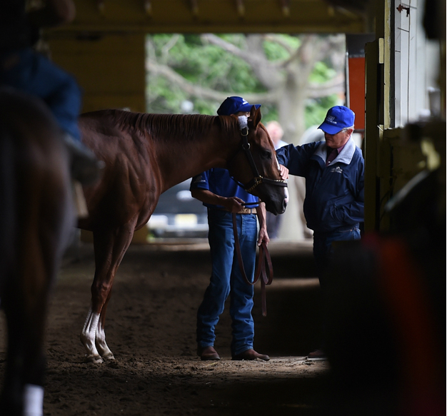 Art Sherman and California Chrome. Photo: NYRA/Susie Raisher