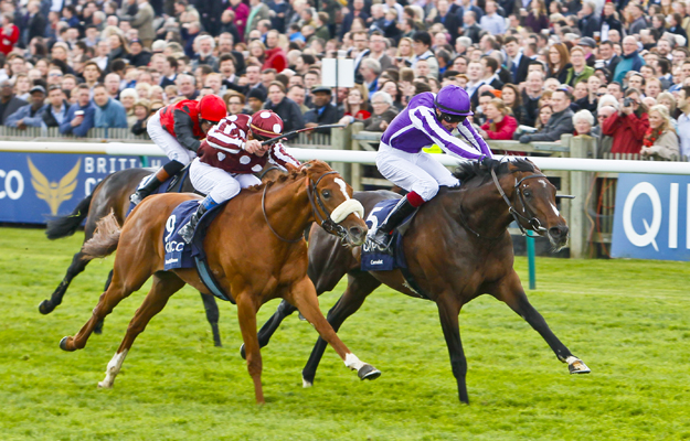 Camelot and Joseph O'Brien edge out French Fifteen to win the 2012 2,000 Guineas at Newmarket. Photo: Cranhamphoto.com