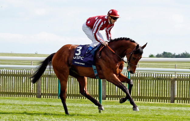 Charm Spirit. Photo: Steven Cargill/RacingFotos.com.