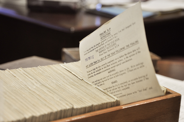 A 1964 foaling slip, showing the cataloguing system before computers. Photo: Jessica Owers.