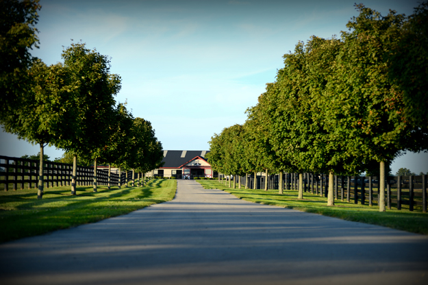 Taylor Made Farm. Photo: Laura Donnell/Taylor Made Farm.