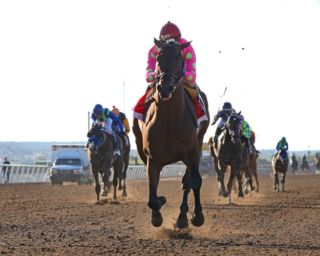 Firing Line and jockey Gary Stevens win the G3 Sunland Derby by 14 1/4 lengths. Photo: Coady Photography.