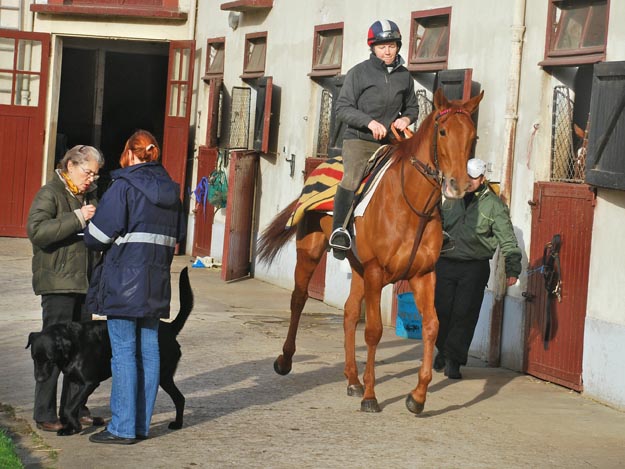 Gina Rarick in her yard in Maisons-Laffitte. Photo: John Gilmore. 