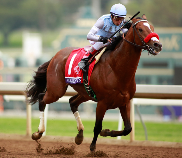 Goldencents won the 2014 Breeders' Cup Dirt Mile. Photo: © Breeders' Cup/Ben Van Hook 2014.