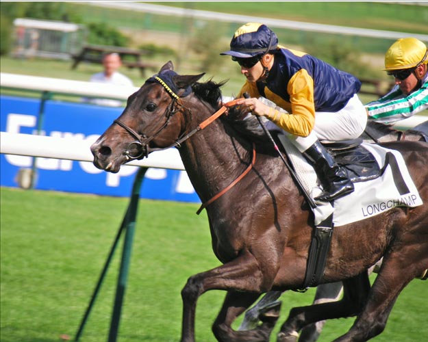 Hard Way and jockey Christophe Lemaire winning the Prix Colombier Handicap at Longchamp on July 7, 2013. The gelding recovered from a life-threatening crushed vertebrae in 2010. Photo: John Gilmore.