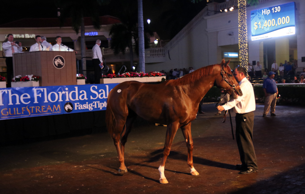 Hip 130, a Scat Daddy colt, was the sale topper at $1.4 million. Photo: Fasig-Tipton.