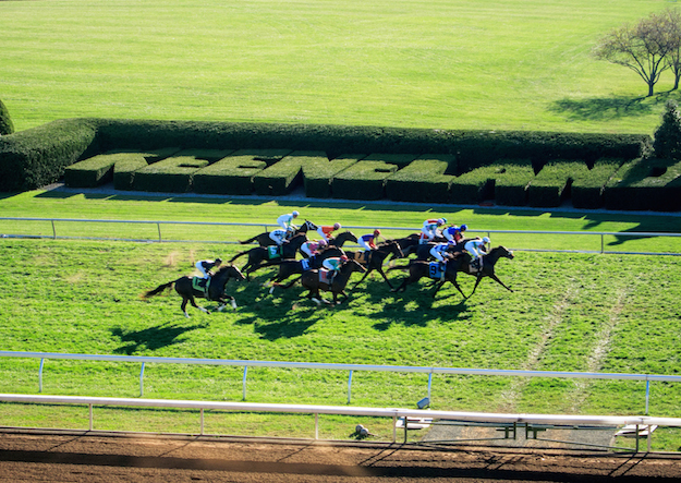 Racing at Keeneland today.  Photo:  JOgdenC