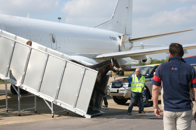 Chopin arriving in UK before Epsom Derby on own charter. Photo: IRT