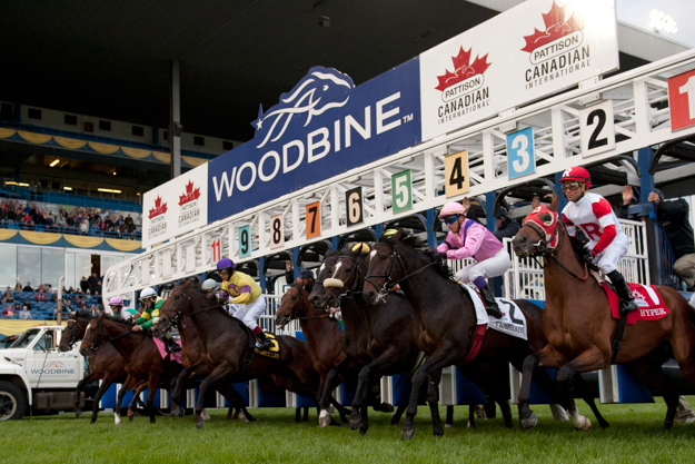 Start of the 2013 Canadian International. Photo: Michael Burns Photo.