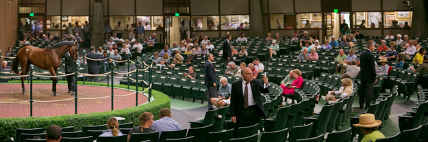 Keeneland 2013 September Yearling Sale. Photo: Keeneland.