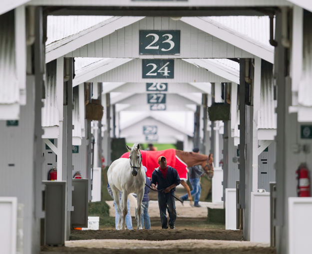 Barn area at Keeneland. Photo: Keeneland.  