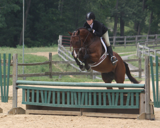 Two-time winner of TIP's Young Rider award Chloe Bellerive and her off-track Thoroughbred Lemon Twister. Photo via Chloe Bellerive