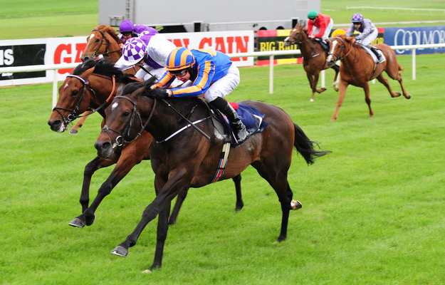 Magician won the 2014 Mooresbridge Stakes. Photo: Kevin Manning/Photo Healy Racing/ RacingFotos.com