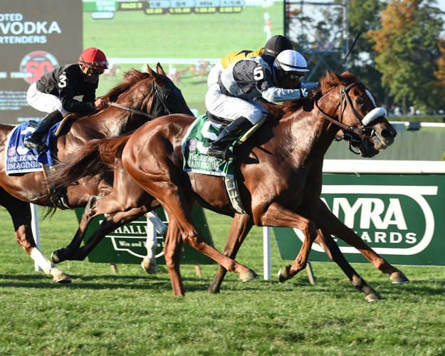 Main Sequence and jockey Rajiv Maragh win the G1 Joe Hirsch Turf Classic at Belmont Park on Sept. 27. Photo: NYRA/Adam Coglianese.