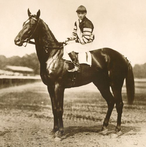 Man o'War circa 1920. Photo via Wikimedia Commons.