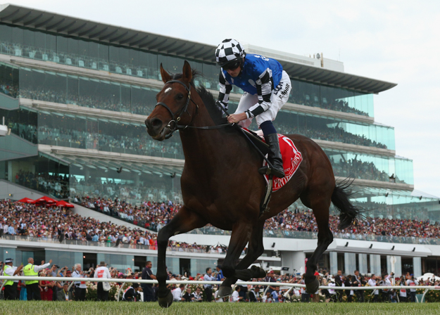 Protectionist wins the Melbourne Cup. Photo: 2014 Getty Images.