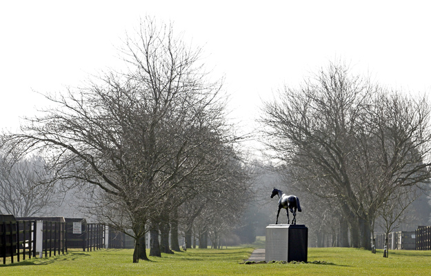 Statue of Mill Reef at the National Stud in Newmarket. Photo: RacingFotos.com