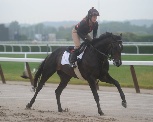 Lorieul works Mr Speaker at Belmont. Photo:NYRA/Susie Raisher.