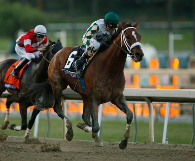 Mucho Macho Man won the 2013 Breeders' Cup Classic. Photo: © Breeders' Cup/Danny Moloshok.