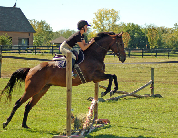 Mugger Hugger at New Vocations. Photo: Sandy Seabrook. 