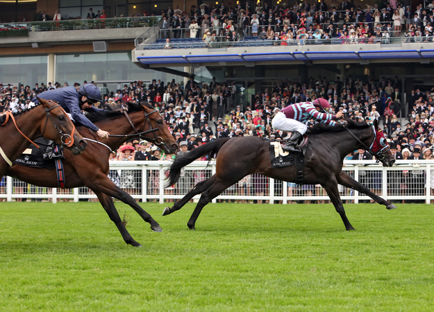 No Nay Never won the Norfolk Stakes. Photo: Frank Sorge/RacingFotos.com