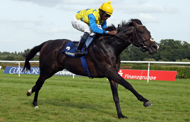 Novellist wins the 2013 Longines Grosse Preis Von Baden. Photo: RacingFotos.com