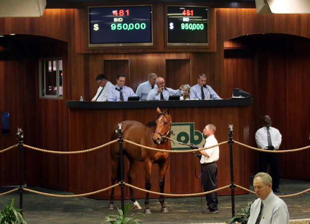 A 950,000 Broken Vow colt purchased by Linda Rice. Photo: Photos by Z.