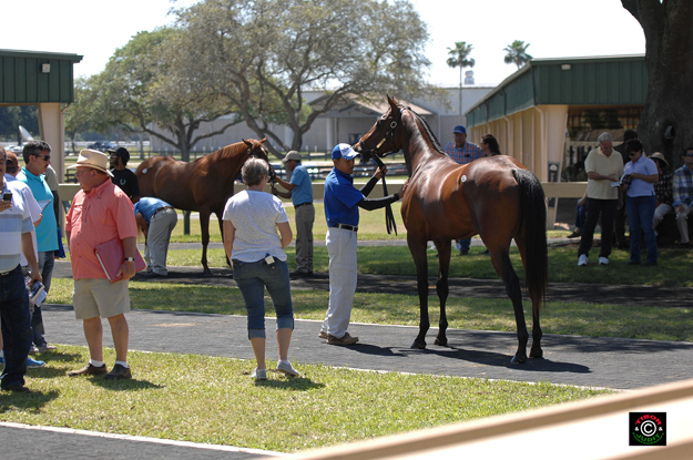 2015 OBS Spring Sale