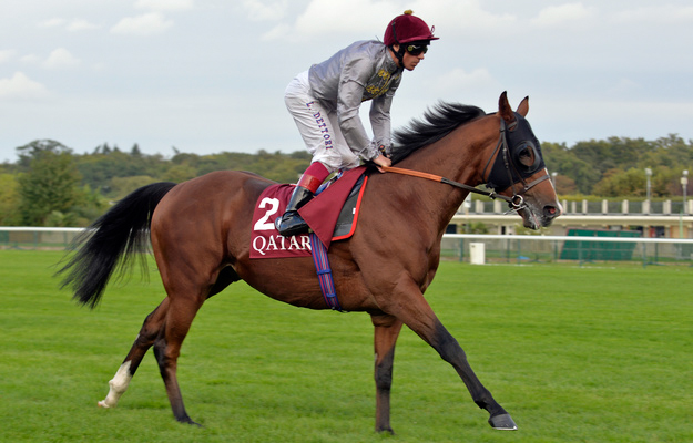 Olympic Glory at Longchamp. Photo: Frank Sorge/RacingFotos.com