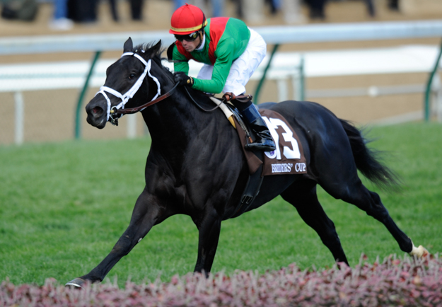 Team Valor's Pluck, Garret Gomez up, wins the 2010 Breeders' Cup Juvenile Turf. Photo: © Breeders' Cup/Jamie Rhodes 2010