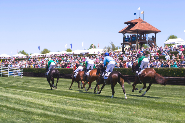 The Queen's Cup Steeplechase in North Carolina. Photo: Jamey Price