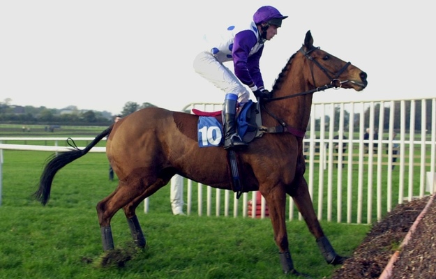 Quixall Crossett before jumping a fence at Wetherby. Photo: RacingFotos.com
