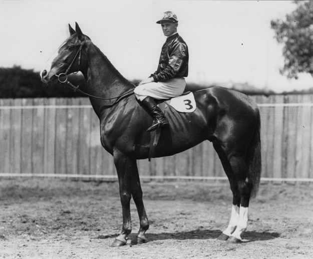 1933 Sydney Cup winner Rogilla, George Robinson aboard. Photo: Les Haigh.