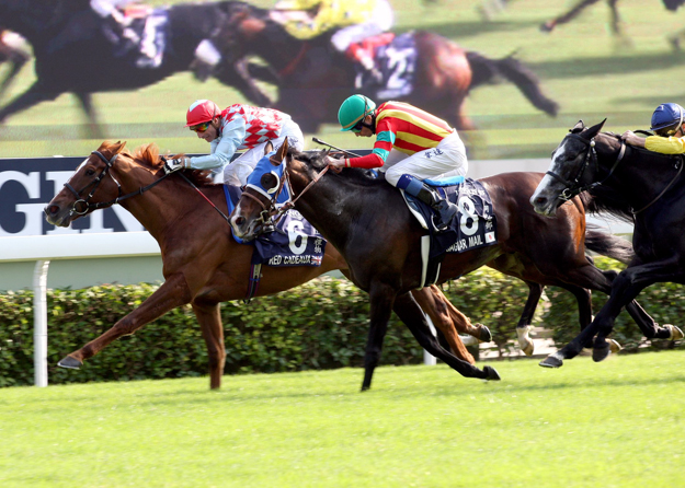 Red Cadeaux and jockey Gerald Mosse win the 2012 Longines Hong Kong Vase at Sha Tin. Photo: Hong Kong Jockey Club.