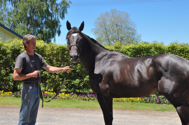 Sacred Falls with handler Vaughan Lees at Raffles Farm in Cambridge, NZ. Photo: Jessica Owers.