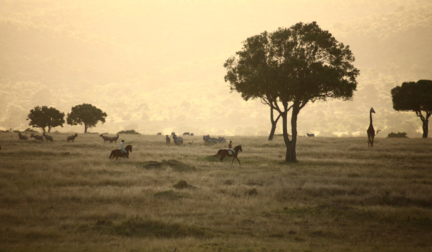 Safaris Unlimited group. Photo via Safaris Unlimited.