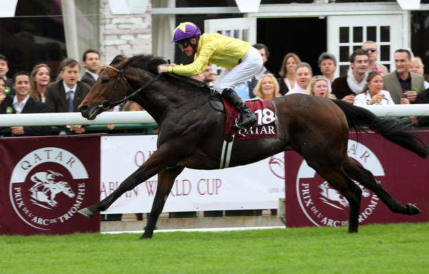 Sea The Stars, with Mick Kinane up, winning the 2009 Prix de l'Arc de Triomphe. Photo: RacingFotos.com