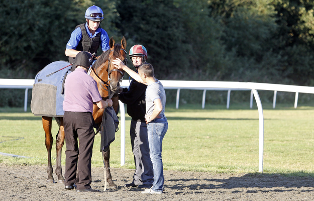 Farhh is comforted by Frankie Dettori and Steve Yarmy Dyble at Kempton for stalls schooling. Photo: RacingFotos.com