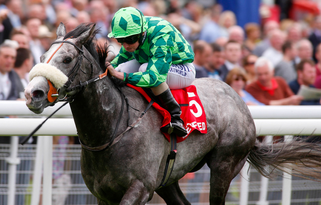 The Grey Gatsby and Ryan Moore win the Betfred Dante Stakes. Photo: Dan Abraham/RacingFotos.com