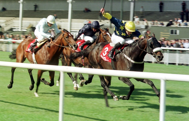 Vinnie Roe and jockey Pat Smullen win the 2003 Irish St Leger. Photo: RacingFotos.com