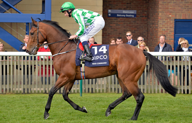 War Command at Newmarket. Photo: Frank Sorge/RacingFotos.com