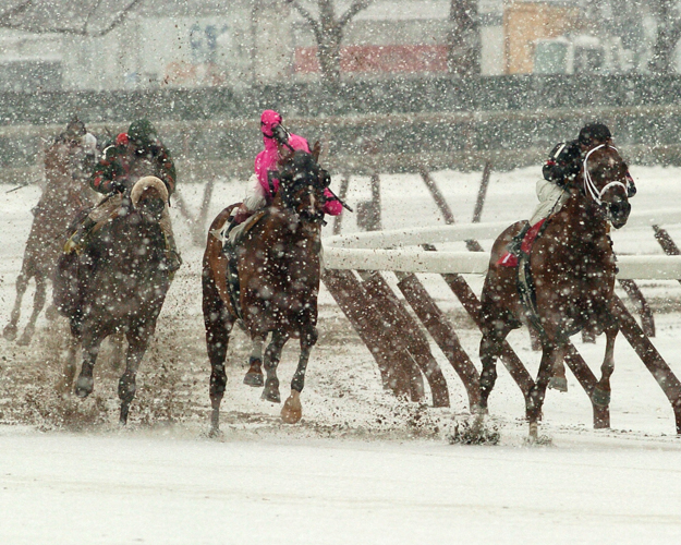 A snowy winter day at Aqueduct. Photo: NYRA/Coglianese Photos