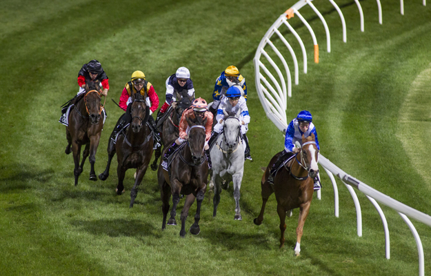 Black Caviar wins the 2013 William Reid Stakes at Moonee Valley. Photo: SDP Media.